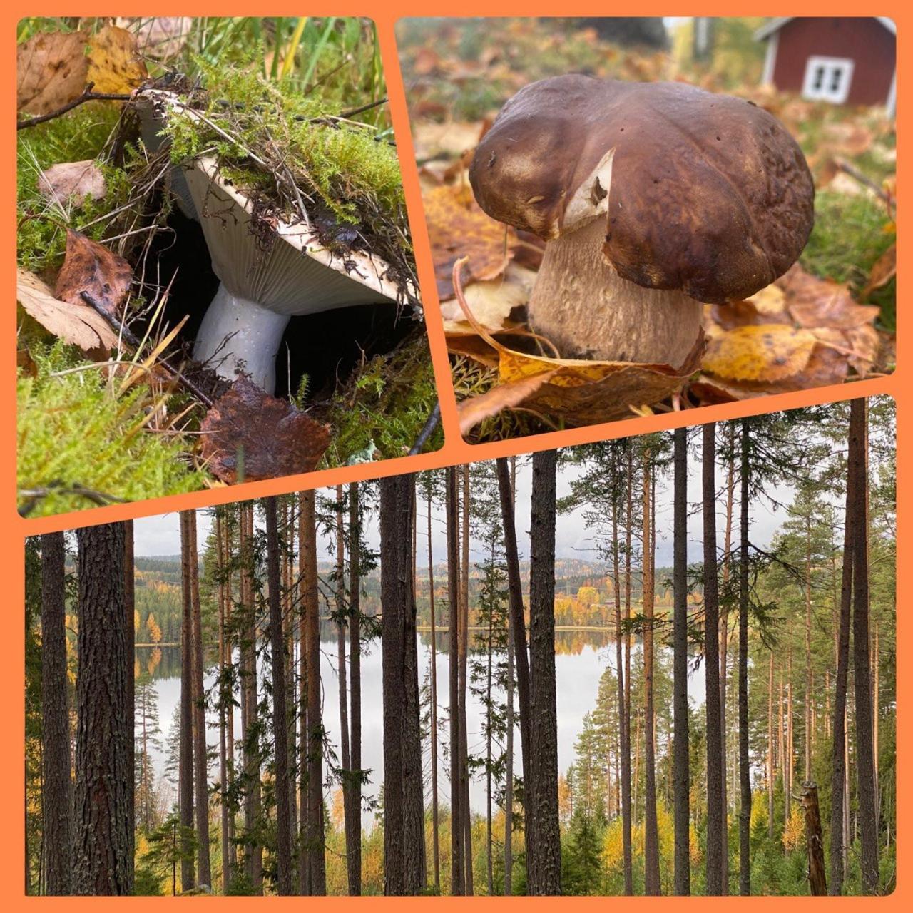 Sunshine Stuga Bergvik Gallo ภายนอก รูปภาพ