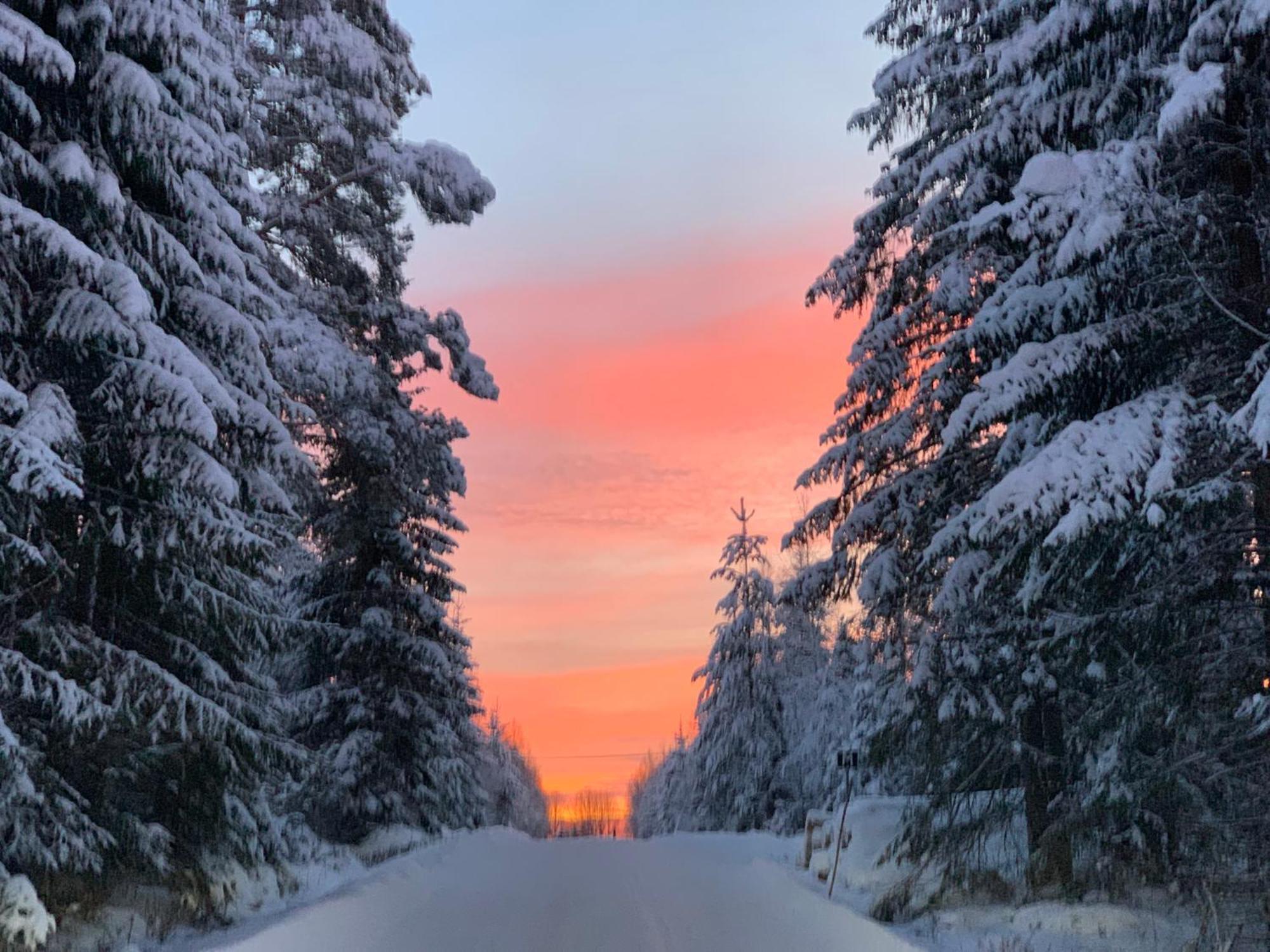 Sunshine Stuga Bergvik Gallo ภายนอก รูปภาพ