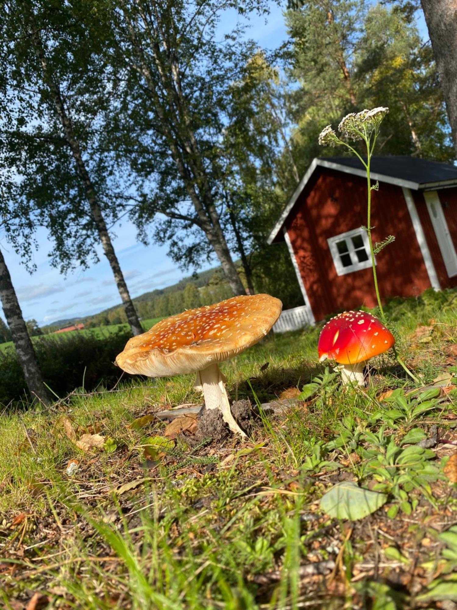 Sunshine Stuga Bergvik Gallo ภายนอก รูปภาพ