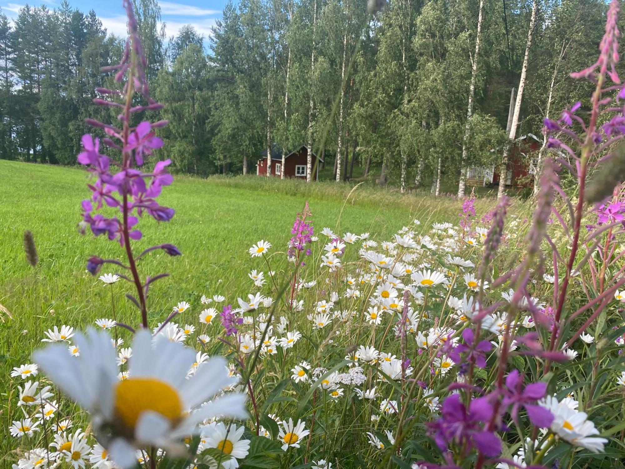 Sunshine Stuga Bergvik Gallo ภายนอก รูปภาพ